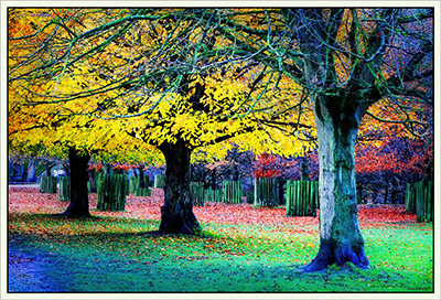 BUY NOW! AUTUMN COLOURS - FINE ART PRINT