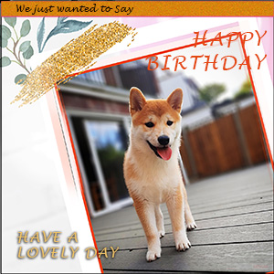 A "Birthday" e-Card - THE JAPANESE SHIBA INU