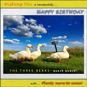 A "Birthday" e-Card - THE THREE BEAKS