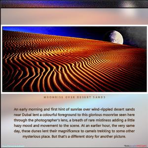 A "BLANK" Add Your Own Message e-Card - MOONRISE OVER DESERT SANDS