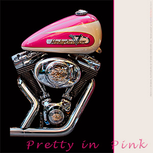 A BLANK e-CARD - HARLEY DAVIDSON - PRETTY IN PINK