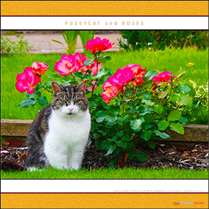 A "Blank - add your own message" e-Card - with Fine Art Photographic Image of PUSSYCAT AND ROSES