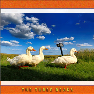 A "Blank" e-Card - THE THREE BEAKS