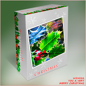 A CHRISTMAS e-CARD - CHRISTMAS BOX