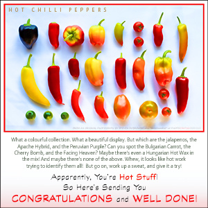 A "Congratulations" e-Card - Hot Chilli Peppers
