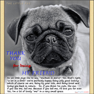 A "Best Friends" e-Card - with Fine Art Photographic Image of  IF YOU THINK I'M CUTE ...
