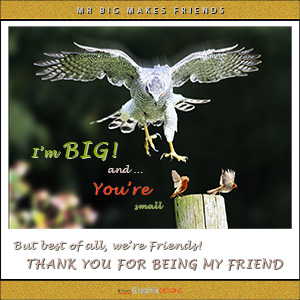 A "Best Friends" e-Card - with Fine Art Photographic Image of BEST OF ALL - WE'RE FRIENDS