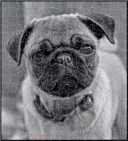 BUY NOW! IF YOU THINK I'M CUTE - web-playable jigsaw