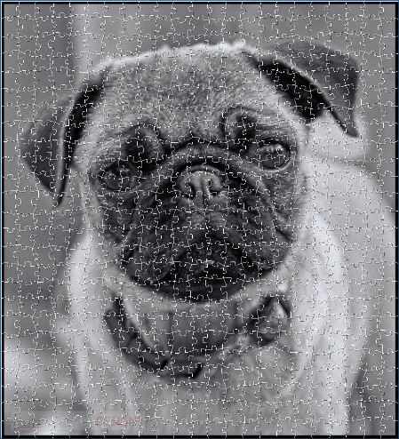 BUY NOW! IF YOU THINK I'M CUTE Digital Jigsaw - Own it Forever