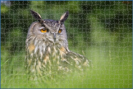 BUY NOW! LONG EARED OWL Digital Jigsaw - Own it Forever