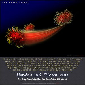 A "Thank You" e-Card - THE DEEP SPACE RAMBUTAN
