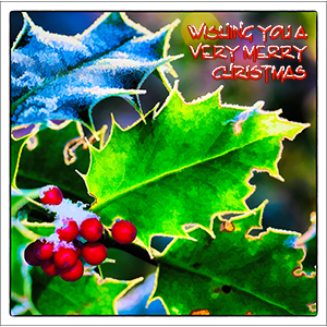 A CHRISTMAS e-CARD - MERRY CHRISTMAS