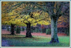 AutumnalColoursAt DunhamParkJigsaw(70).JPG
